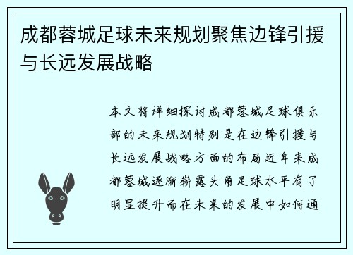 成都蓉城足球未来规划聚焦边锋引援与长远发展战略 成都蓉城足球未来规划聚焦边锋引援与长远发展战略